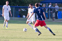 ISO 640, 1/1600 sec at f / 5.6, 250 mm