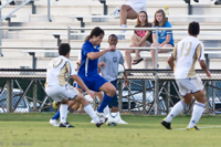 ISO 3200, 1/500 sec at f / 5.6, 290 mm