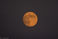 ISO 10000, 1/3200 sec at f / 5.6, 400 mm