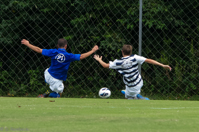 ISO 1000, 1/500 sec at f / 5.6, 230 mm