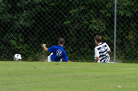 ISO 1000, 1/400 sec at f / 5.6, 230 mm