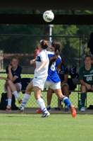 ISO 800, 1/1000 sec at f / 5.6, 300 mm