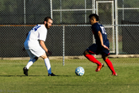 ISO 800, 1/1600 sec at f / 6.3, 330 mm