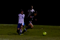 ISO 25600, 1/750 sec at f / 6.3, 290 mm
