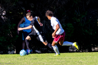 ISO 640, 1/800 sec at f / 5.6, 200 mm