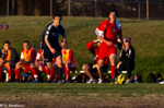 ISO 2500  1/2500 sec at f / 5.6   200 mm