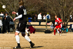 1/250 sec at f / 22     200 mm
