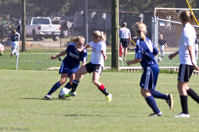 ISO 500,  200 mm,  1/1600 sec at f / 5.6