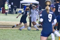 ISO 12800,  200 mm,  1/320 sec at f / 4.0