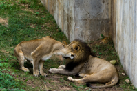 ISO 800, 1/500 sec at f / 5.6, 170 mm