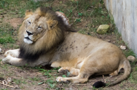 ISO 800, 1/500 sec at f / 5.6, 180 mm